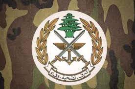 الجيش: تحرير المخطوف السعودي وتوقيف متورطين