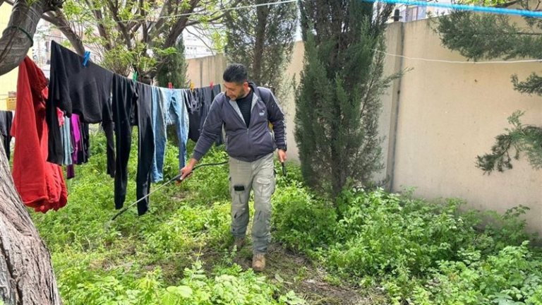 من حقول التبغ إلى أروقة 