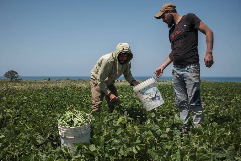 اجتماع «رئاسي» لاعتماد مقاربة موحدة للمفاوضات اللبنانية - الإسرائيلية