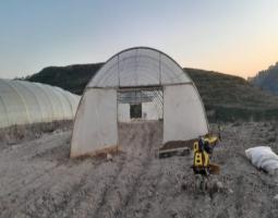 نشاط "لجنة التنمية الزراعية" ل"حزب الله" في صيدا والجوار