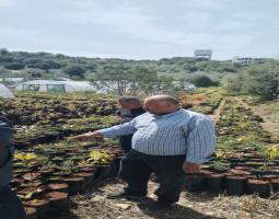 نشاطات "لجنة التنمية الزراعية" ل"حزب الله" في صيدا والجوار