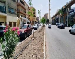 بلدية صيدا تستكمل تأهيل وصيانة مستديرات ووسطيات ساحات وشوارع المدينة.