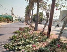 بلدية صيدا تقرر مكافحة "ظاهرة ممتهني التسول" في المدينة