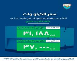 بلدية صيدا : سعر الكيلو وات 37.000 ل.ل. عن كل ساعة تغذية