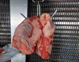 مصلحة الاقتصاد في الجنوب تستكمل  جولاتها الرقابية على المؤسسات الغذائية في الجنوب