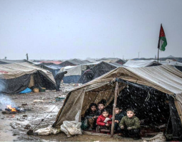 سياسة التجويع والبرد: كيف تُدار الإبادة دون صوت في غزة…