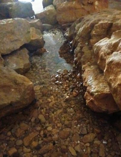 الجفاف يضرب