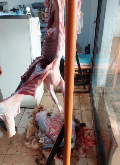 مشاهد صادمة ومخالفات عديدة داخل ملحمة في الصرفند جنوب صيدا ومصلحة الاقتصاد تتحرك .