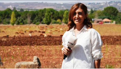 الشاهدة دائماً...