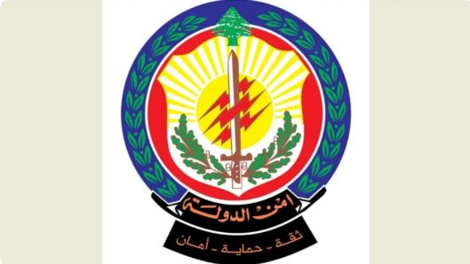 أمن الدولة :استشهاد ١٣ عنصرًا نتيجة استهداف مبنى سرايا النبطية الحكومية