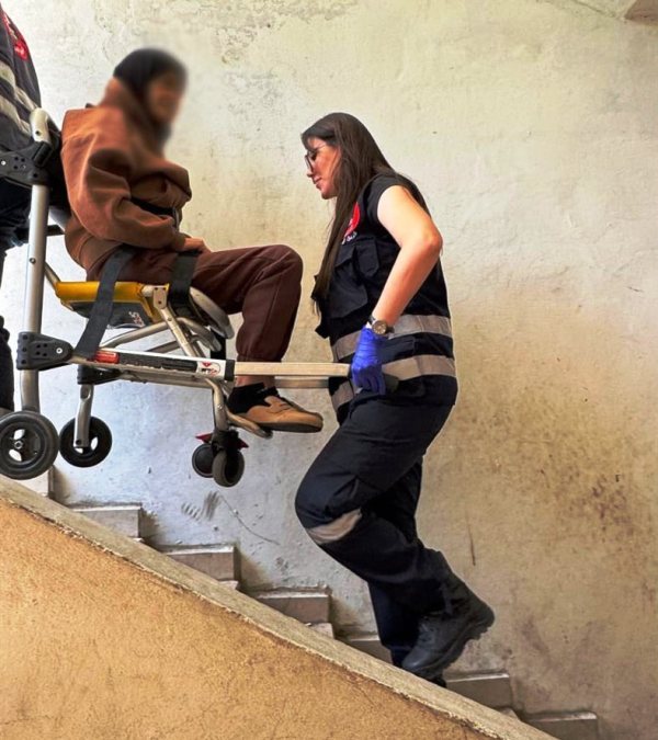 تقديمات 